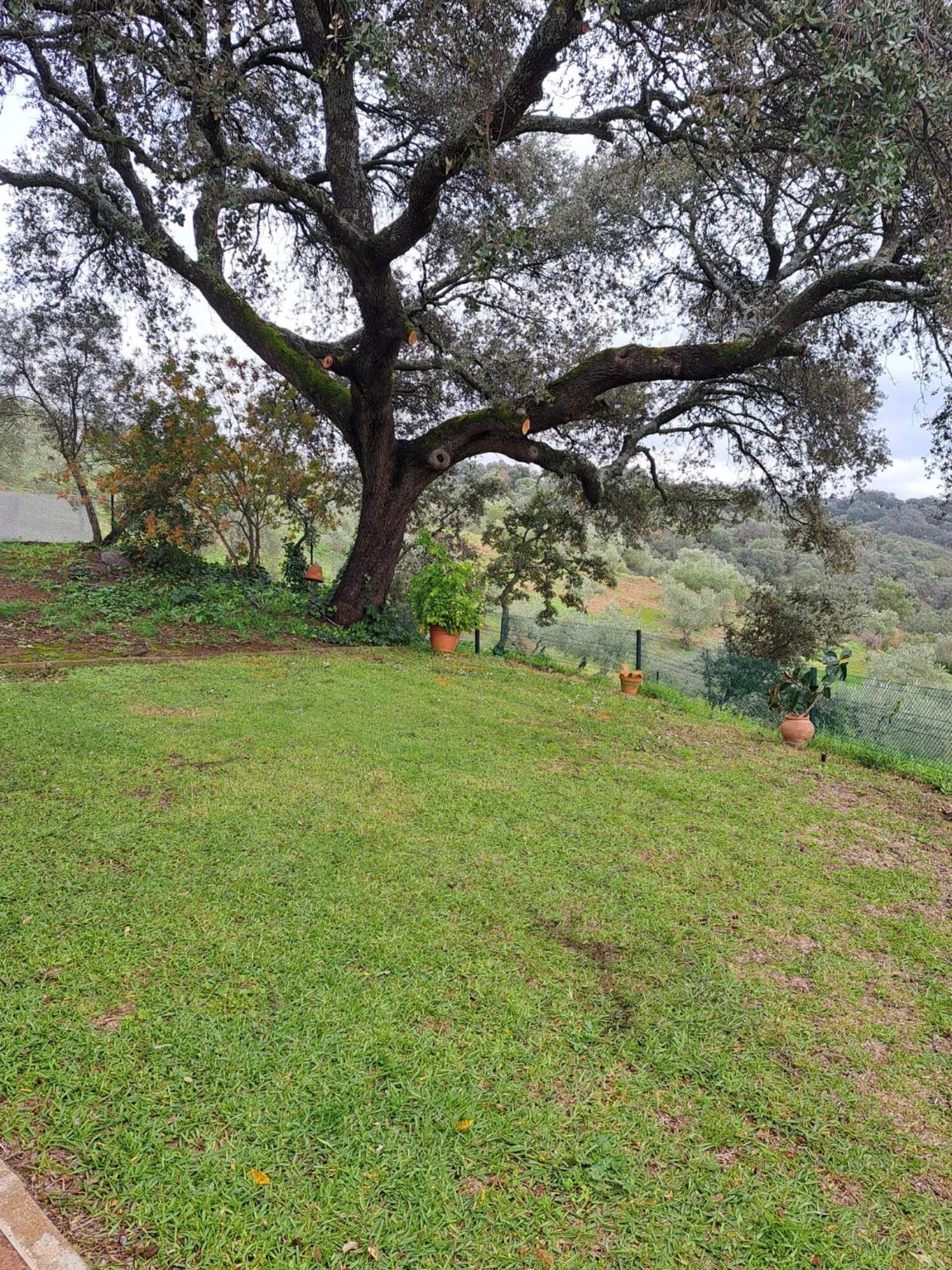 Casa Rural Villa Manuela 查兹拉德拉谢拉 外观 照片